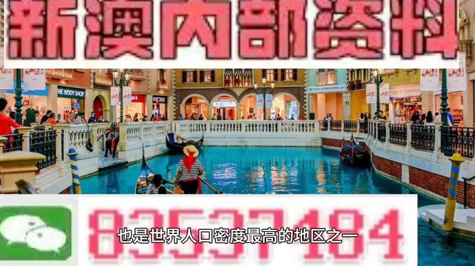 澳門王中王正版游戲，探索未來的新篇章（2025年展望），澳門王中王正版游戲，探索未來新篇章，展望2025年發(fā)展