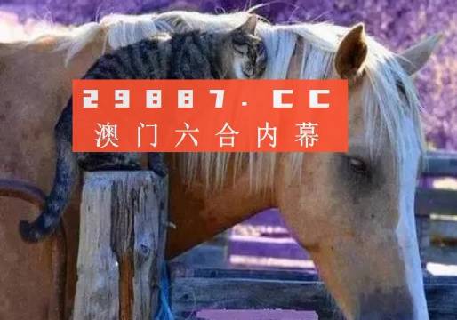 澳門一肖一碼一待一中四不像，探索與解析，澳門一肖一碼一待一中四不像，深度解析與探索