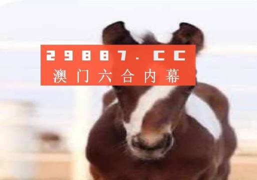澳門一肖一碼狀元紅，揭秘彩票背后的秘密與策略，澳門彩票揭秘，狀元紅背后的秘密與策略解析