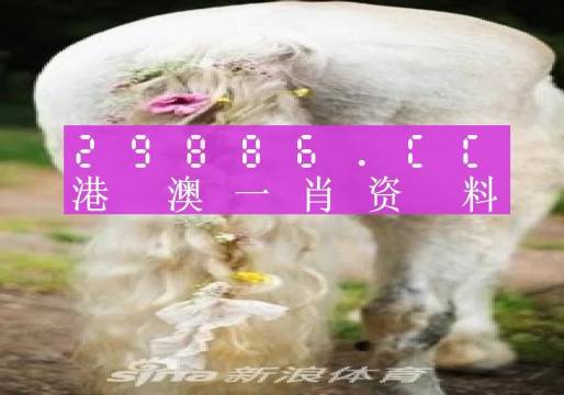 澳門羊了個羊與各大圖庫的資料揭秘，2023年澳門今晚必中一肖一碼永久免費資料庫大解密，澳門羊了個羊與資料庫揭秘，2023年必中一肖一碼永久免費資料大解密