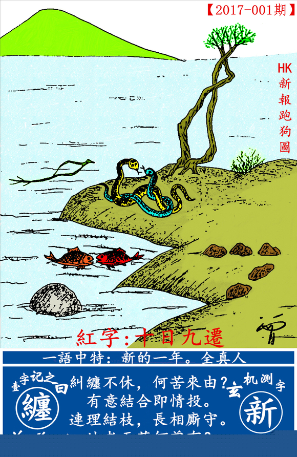 探索全新版跑狗圖，7777788888的魅力與策略，探索全新版跑狗圖，7777788888的魅力與攻略解析