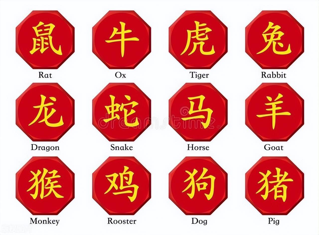 新澳特碼，羊?；⒏鲾?shù)10——揭秘背后的數(shù)字奧秘，揭秘新澳特碼數(shù)字奧秘，羊?；⒏鲾?shù)背后的秘密
