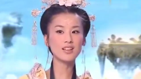 曾道道人資料免費大全，深度探索與解析，曾道道人資料深度解析與免費大全探索