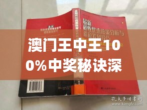 新澳門王中王期期中，探索與解析，新澳門王中王期期中，深度探索與解析