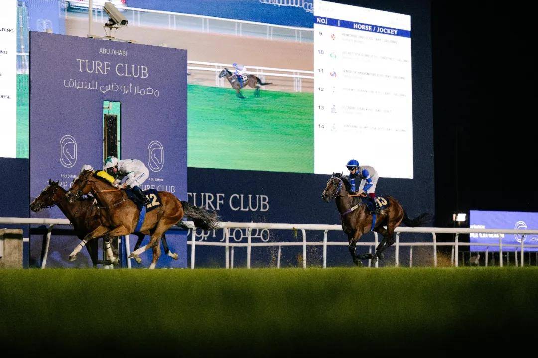 澳門特馬今晚開獎一，探索彩票背后的秘密與期待，澳門特馬今晚開獎，揭秘彩票背后的秘密與期待大獎的激動心情