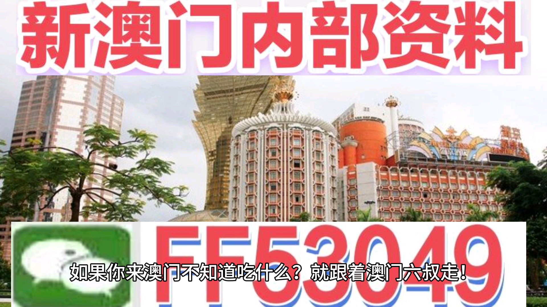 澳門今晚特馬生肖預測，探尋未來的幸運符號（2025年），澳門生肖預測揭秘，探尋未來幸運符號（特馬生肖預測 2025年展望）