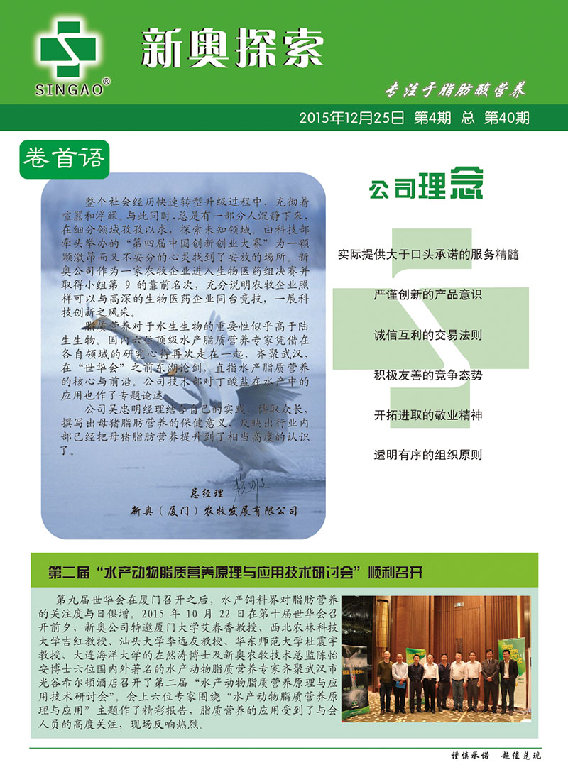 2025新澳正版資料查詢(xún)指南，2025新澳正版資料查詢(xún)手冊(cè)