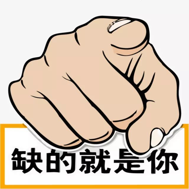鐵算盤(pán)，全網(wǎng)矚目，傾力打造引領(lǐng)潮流的火熱品牌！，鐵算盤(pán)引領(lǐng)潮流，全網(wǎng)矚目成火熱品牌！