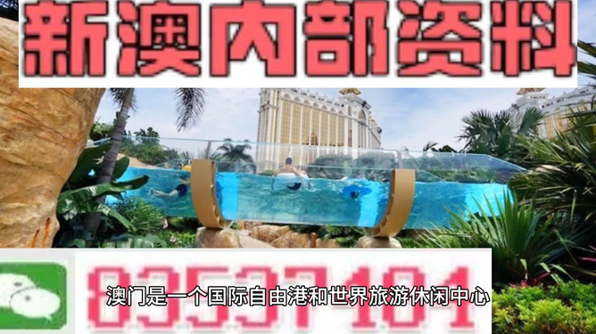 新澳的資料去哪里找——全面指南，新澳資料全攻略，尋找資料的途徑與指南