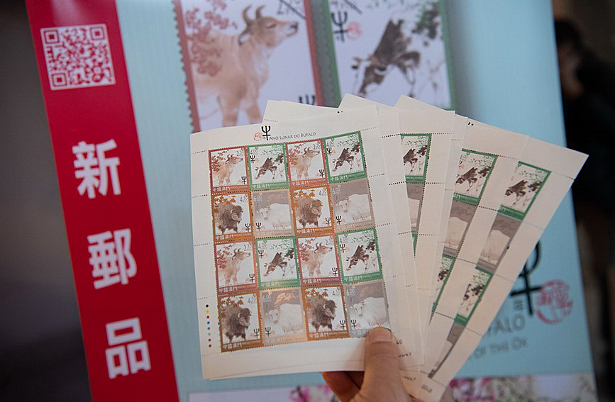 澳門(mén)值日生肖600圖庫(kù)與八百圖庫(kù)開(kāi)獎(jiǎng)，探索生肖圖庫(kù)的魅力與奧秘，澳門(mén)生肖圖庫(kù)開(kāi)獎(jiǎng)揭秘，探索值日生肖600圖庫(kù)與八百圖庫(kù)的魅力與奧秘
