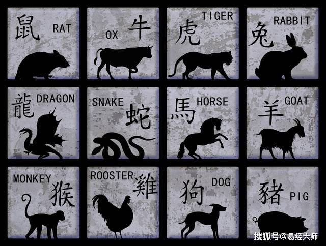 新澳特碼，羊?；⒏鲾?shù)10的獨(dú)特魅力與解析，新澳特碼，羊?；⒏鲾?shù)10的獨(dú)特魅力深度解析