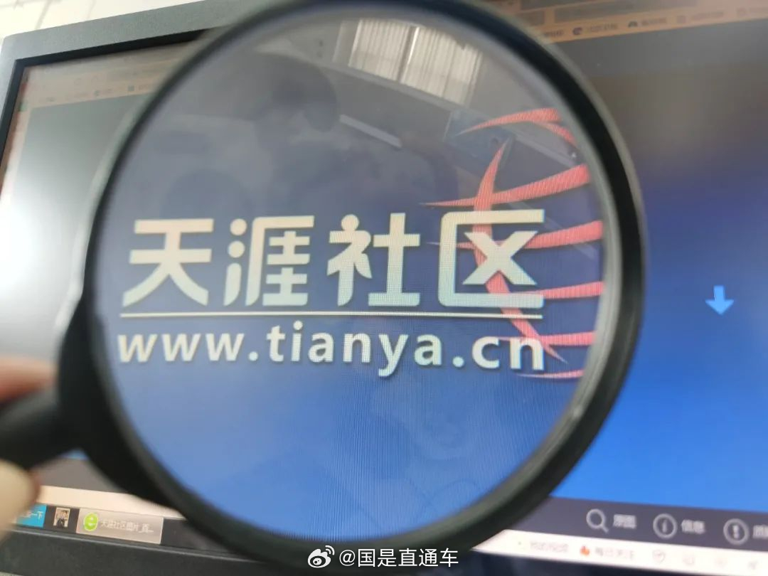 天涯國際觀察，全球視野下的深度分析與洞察，全球深度洞察，天涯國際觀察分析