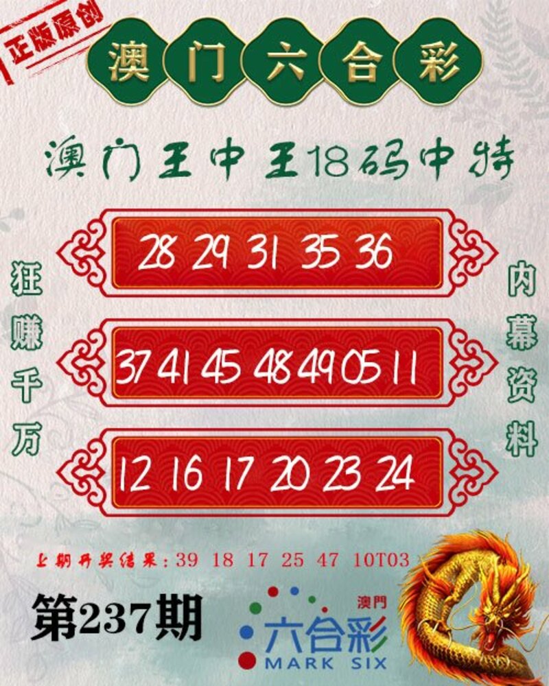 新澳門王中王期期中，探索與解析，新澳門王中王期期中，深度探索與解析