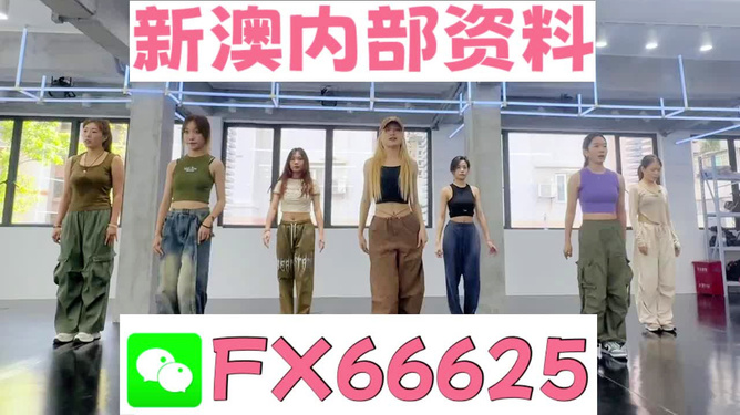 新澳持碼會資料詳解，新澳持碼會資料全面解析