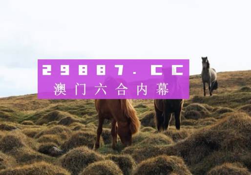 今晚新澳門開獎(jiǎng)結(jié)果查詢9，全面解析與實(shí)用指南，澳門今晚開獎(jiǎng)結(jié)果查詢9，全面解析與實(shí)用指南