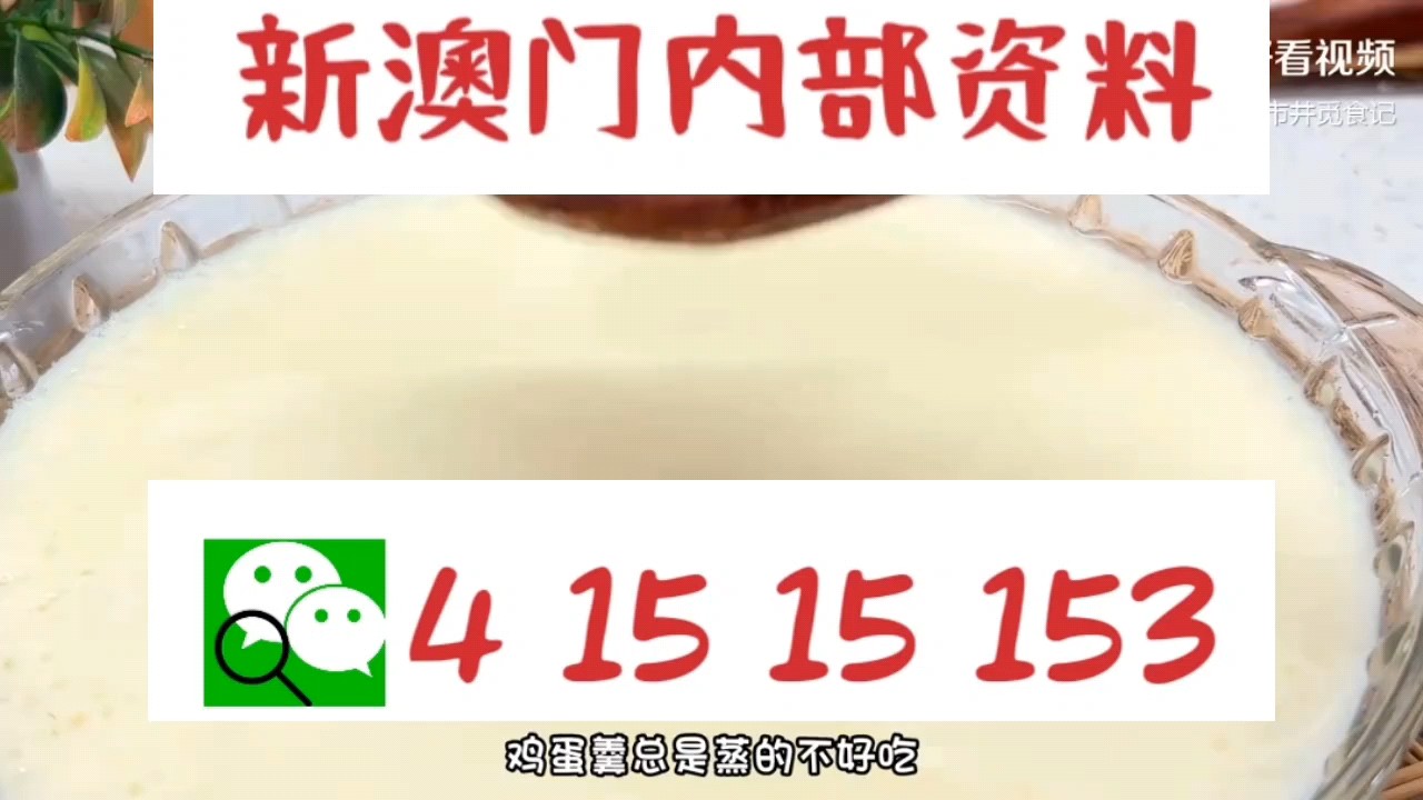 新澳門中特網(wǎng)中特馬，探索與解析，澳門中特馬探索與解析指南
