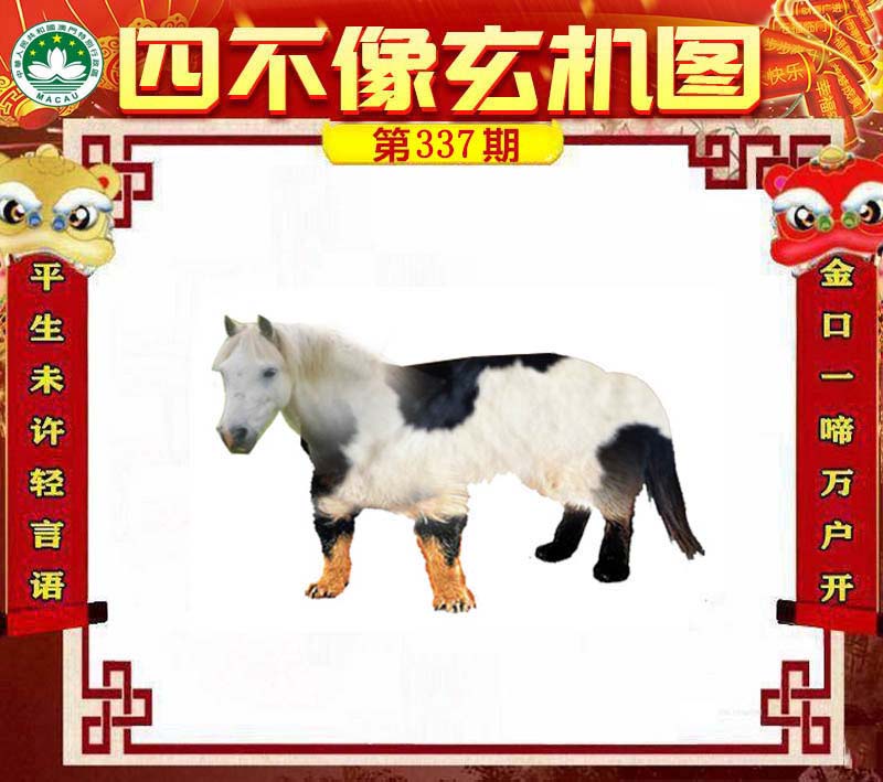 王中王四不像肖一肖中特，探索神秘現(xiàn)象背后的真相，神秘現(xiàn)象背后的真相探索，王中王四不像肖一肖中特揭秘