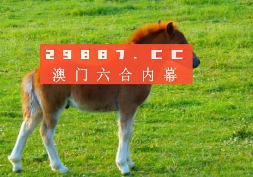 澳門答家婆一肖一馬一中一特，揭秘背后的秘密與獨特文化魅力，澳門文化魅力深度解析，答家婆一肖一馬一中一特的獨特傳統(tǒng)與秘密