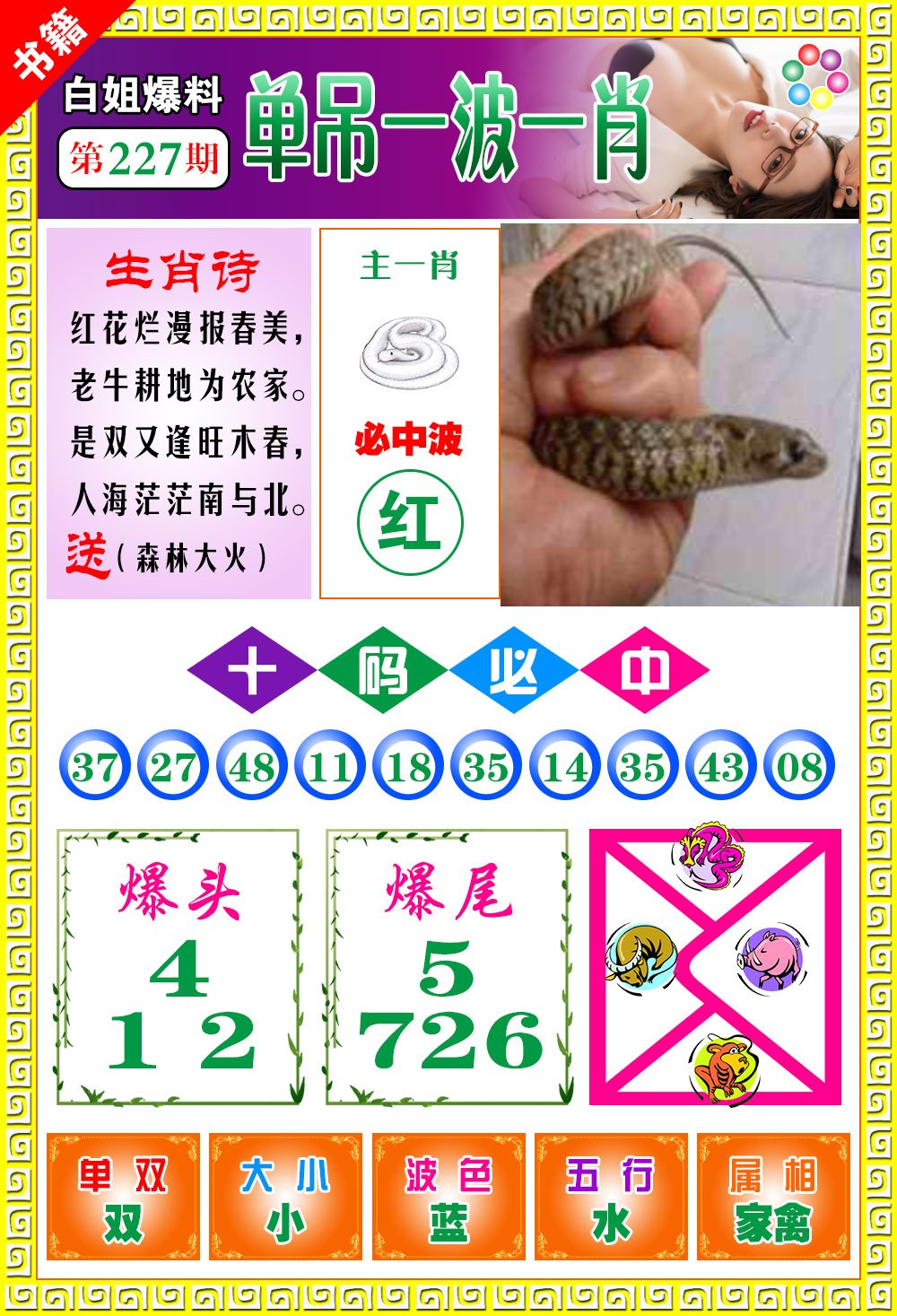 王中王100期期一肖，深度解析與SEO優(yōu)化策略，王中王100期期一肖深度解析與SEO策略全解析