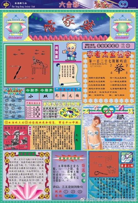 王中王四不像必出一肖圖——揭秘彩票背后的秘密，揭秘彩票背后的秘密，王中王四不像必出一肖圖的真相探索