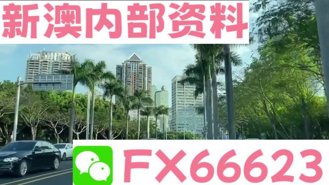新澳資料哪里看，全面指南與資源匯總，新澳資料全面指南與資源匯總查看攻略