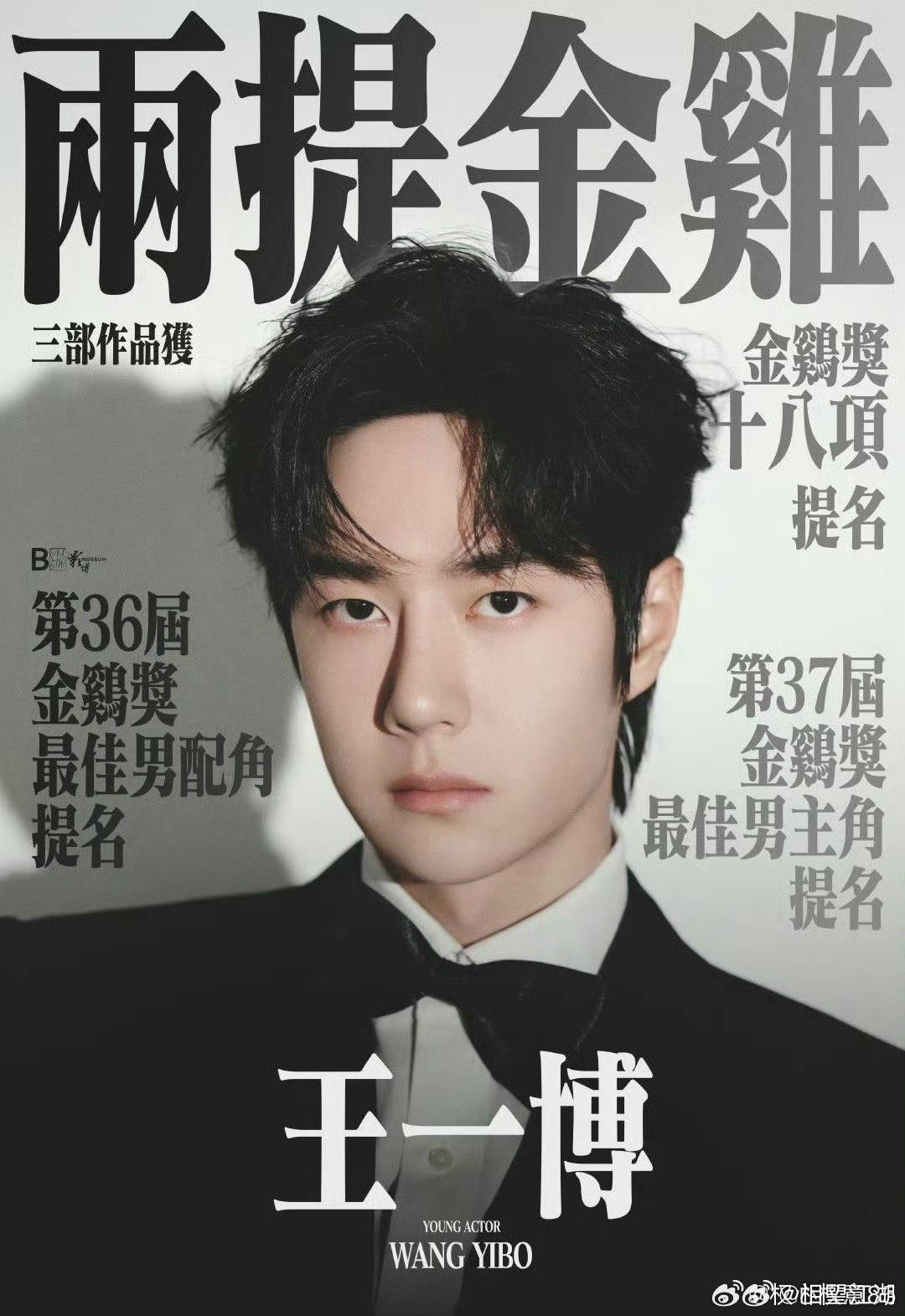 王中王一肖中特論特，深度解析與SEO洞察，深度解析王中王一肖中特論特與SEO洞察