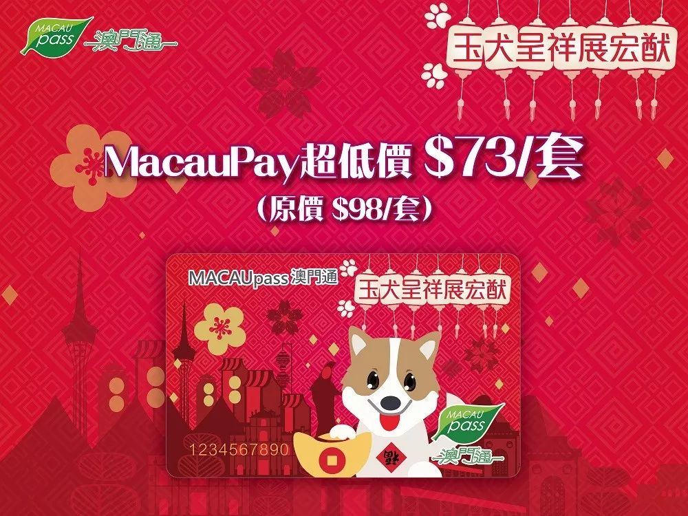 澳門生肖卡，探索未來的趨勢與機(jī)遇（2025年展望），澳門生肖卡，未來趨勢與機(jī)遇展望（2025年）