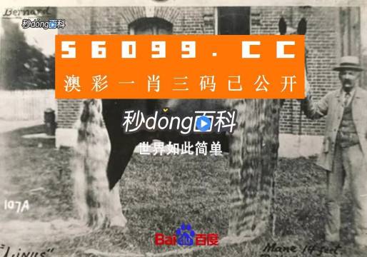 澳門(mén)王中王心水王中王，探索與解析，澳門(mén)王中王心水奧秘，深度探索與解析