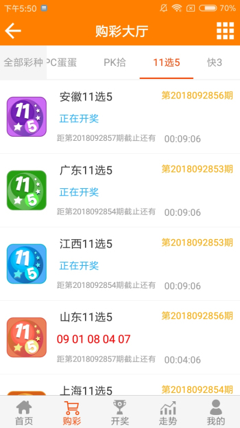 王中王黃金一肖二碼資料，深度解析與SEO優(yōu)化，王中王黃金一肖二碼資料深度解析與SEO優(yōu)化技巧