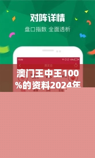 王中王網(wǎng)站一肖，探索與SEO優(yōu)化策略，王中王網(wǎng)站一肖，深度探索與SEO優(yōu)化策略實(shí)踐