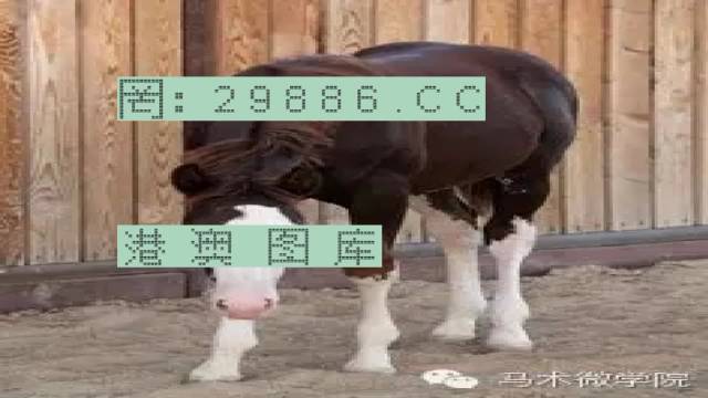 揭秘446999一肖中特馬之秘密，掌握中獎玄機！，揭秘特馬中獎玄機，446999一肖中的秘密大揭秘！