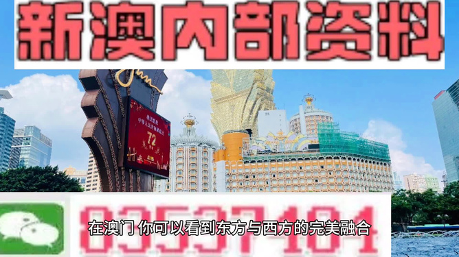 新澳天天開(kāi)獎(jiǎng)資料大全旅游團(tuán)，探索澳門(mén)的魅力與樂(lè)趣，澳門(mén)探索之旅，新澳天天開(kāi)獎(jiǎng)資料大全旅游團(tuán)體驗(yàn)魅力與樂(lè)趣