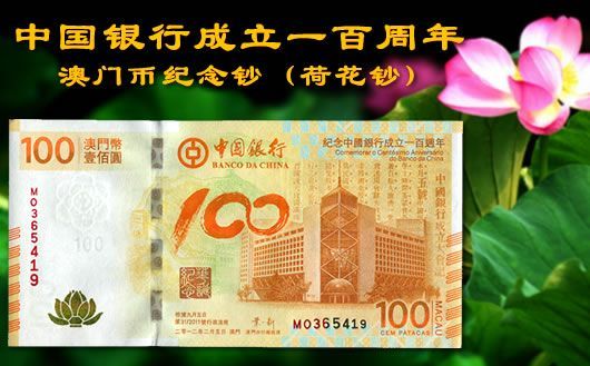 新澳門掛牌正版掛牌完整掛牌，探索與解析，澳門正版掛牌詳解，探索完整流程與解析