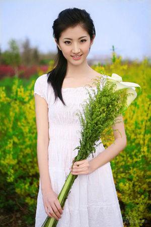 新澳門生肖走勢圖精準版，解讀與SEO策略，新澳門生肖走勢圖精準解讀與SEO策略揭秘