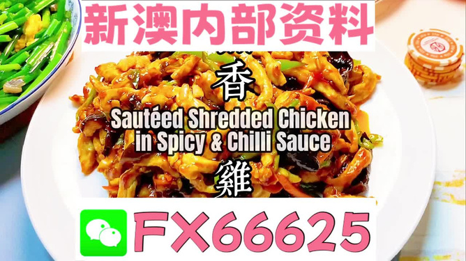 新奧天天精準資料大全，全方位解讀與應用指南，新奧天天精準資料大全，全方位解讀與應用指南手冊