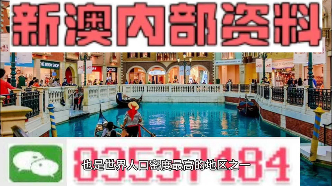 新澳最精準(zhǔn)龍門客棧，探索獨(dú)特魅力的旅游住宿體驗(yàn)，新澳龍門客棧，獨(dú)特魅力的旅游住宿體驗(yàn)探索