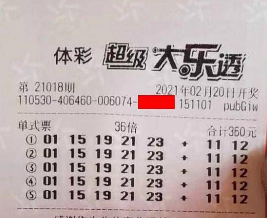 王中王018期指一生肖，揭秘背后的奧秘與意義，揭秘生肖奧秘，王中王生肖背后的意義與秘密