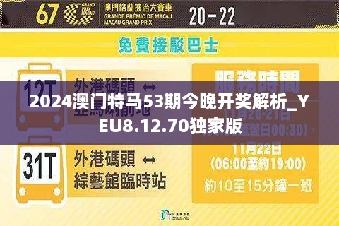 澳門今晚開特馬，探索未來的機(jī)遇與挑戰(zhàn)，澳門未來機(jī)遇與挑戰(zhàn)，特馬開啟新篇章
