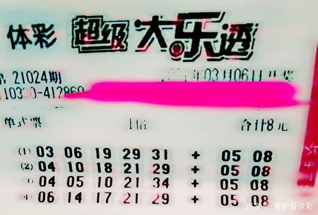 王中王024期指一生肖，深度解讀與SEO優(yōu)化策略，王中王024期生肖深度解讀與SEO優(yōu)化策略全攻略