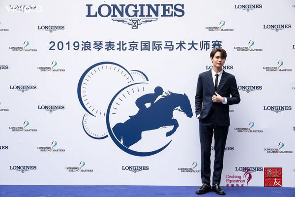 王中王一肖精準，深度解析與策略探討，王中王一肖精準解析與策略深度探討