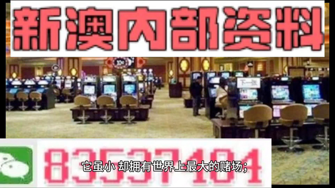 新澳門最精準(zhǔn)——探索澳門的精準(zhǔn)旅游魅力，澳門精準(zhǔn)旅游魅力探索之旅