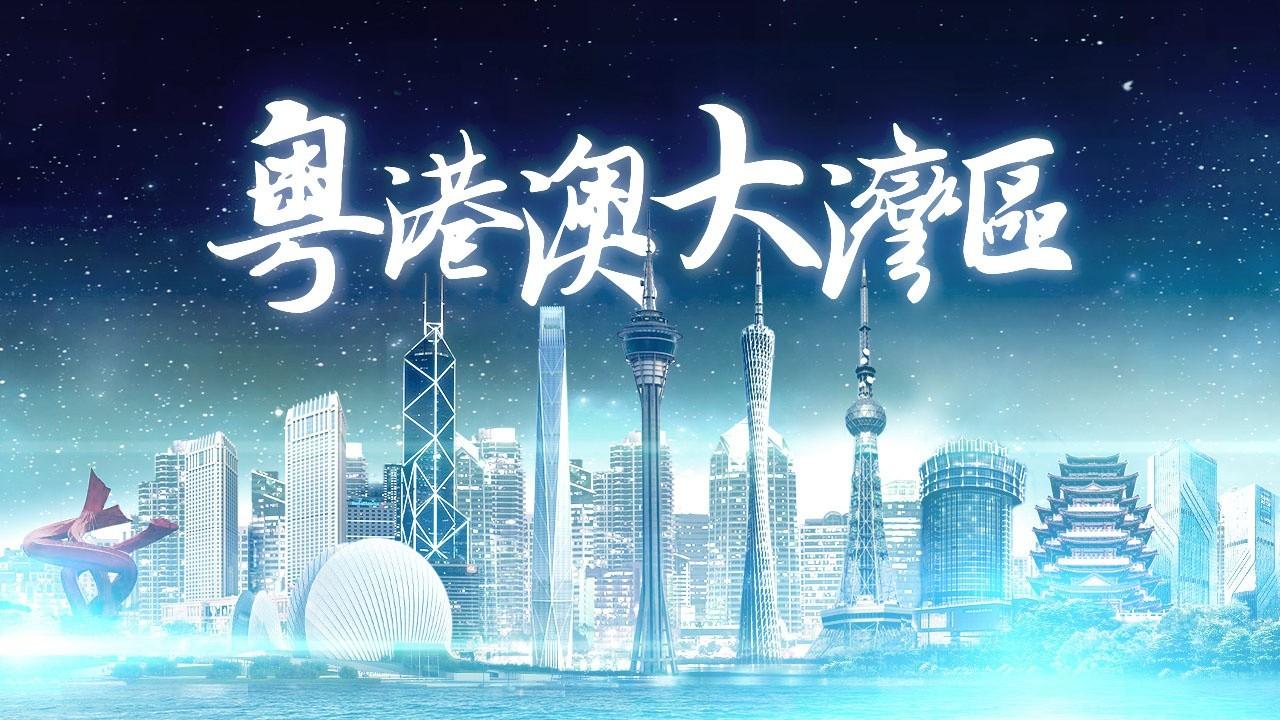 2025年香港正版免費(fèi)資料全面解析，香港正版免費(fèi)資料全面解析（2025版）