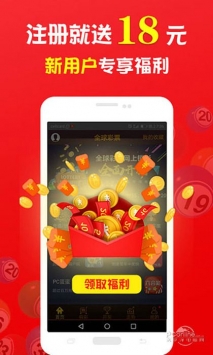 王中王一肖中打一，深度解析一種獨(dú)特的文化現(xiàn)象，王中王一肖中打一，獨(dú)特文化現(xiàn)象的深度探究