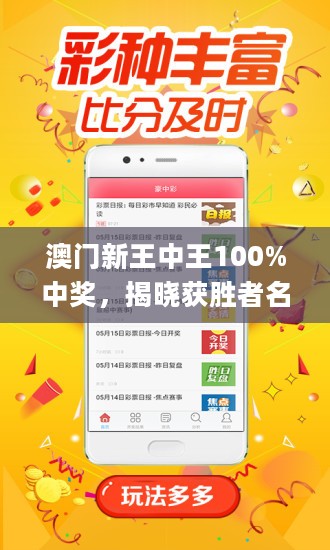 王中王藏寶閣猜一肖，揭秘背后的秘密與SEO策略，王中王藏寶閣猜一肖背后的秘密與SEO策略揭秘