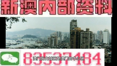 澳門全年最全免費資料大全，探索無盡的資源寶庫，澳門全年免費資料寶庫，探索無盡資源之旅