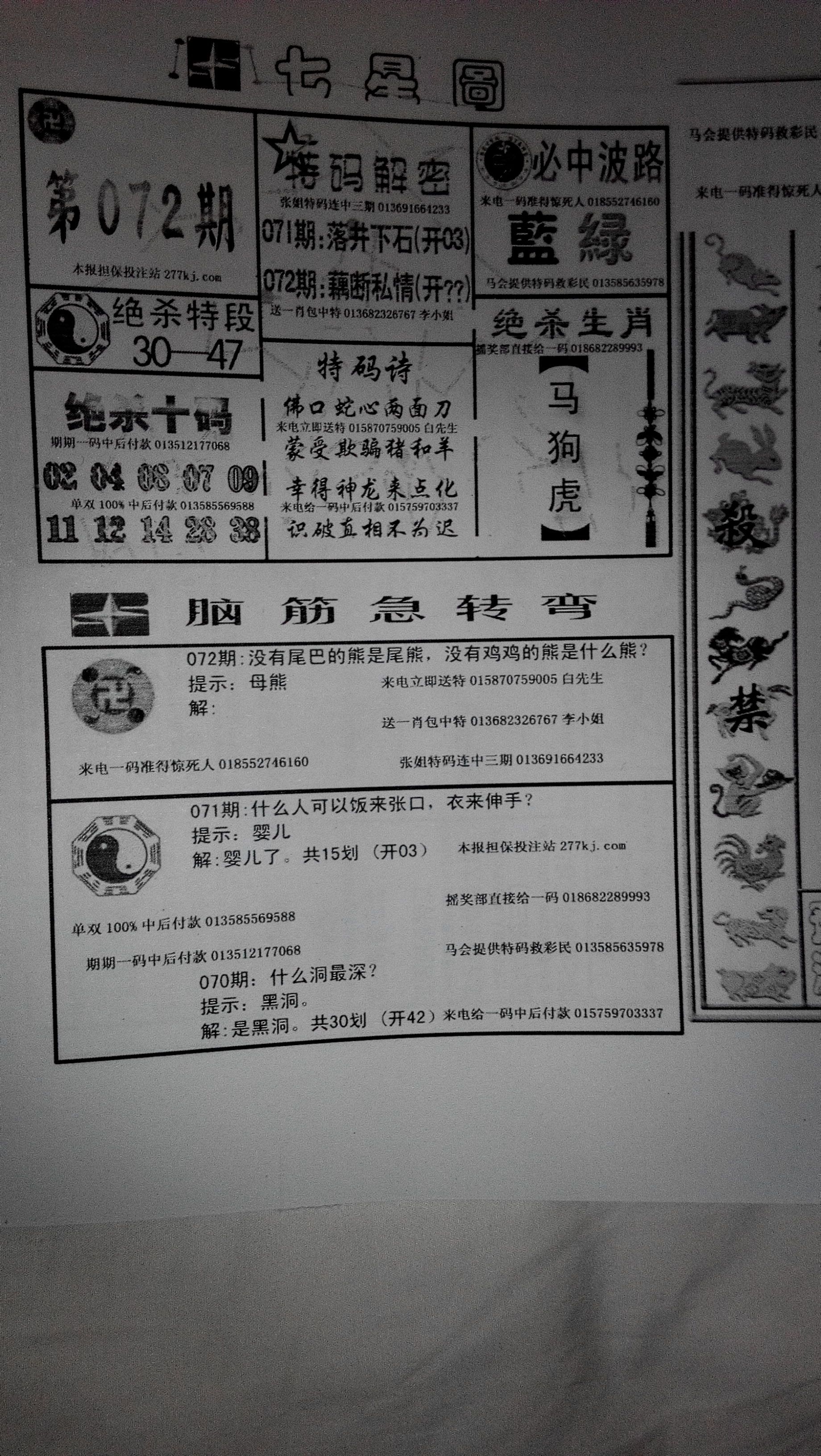 王中王085期指一生肖，深度解讀與SEO優(yōu)化策略，王中王085期生肖深度解讀與SEO策略?xún)?yōu)化指南