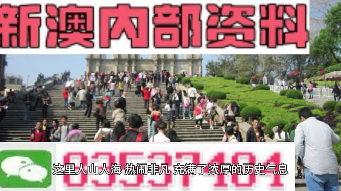 澳門最精準免費資料大全旅游團，探索澳門之旅的完美選擇，澳門最精準免費資料大全旅游團，探索澳門之旅的不二之選