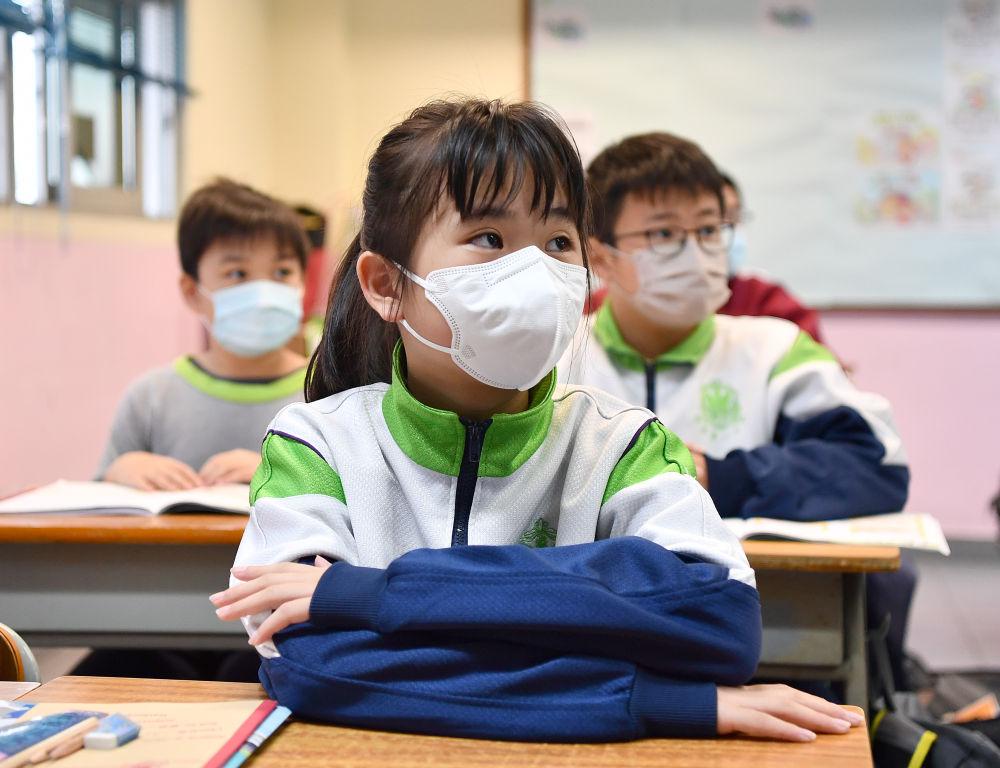 香港今晚必開一肖，深度解析與預測，香港今晚生肖預測，深度解析與獨家預測