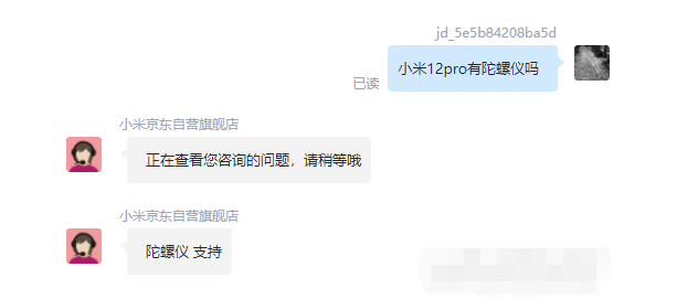 王中王一肖碼，探索關(guān)鍵詞背后的奧秘，王中王一肖碼，揭秘關(guān)鍵詞背后的奧秘