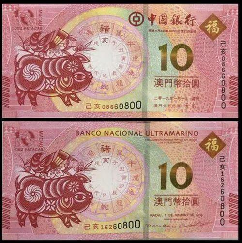 澳門天天彩期期精準(zhǔn)十二生肖預(yù)測——揭秘彩票背后的秘密，澳門天天彩期期精準(zhǔn)十二生肖預(yù)測，彩票背后的秘密大揭秘